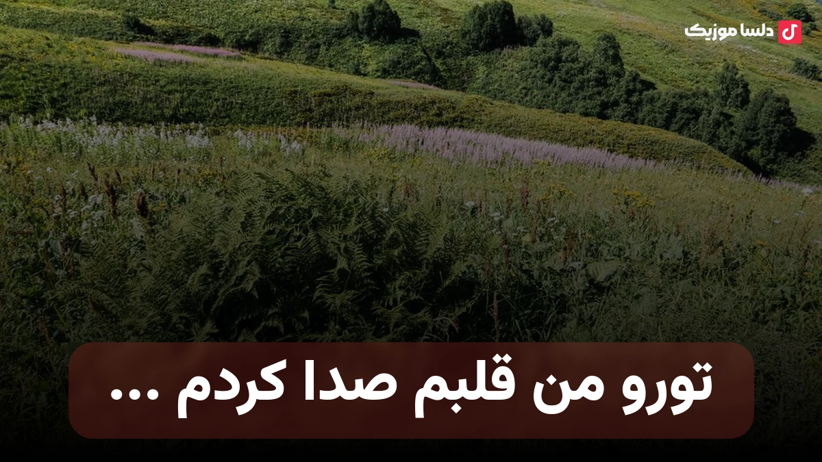 تورو من قلبم صدا کردم رفتی دور شدی من بگا رفتم
